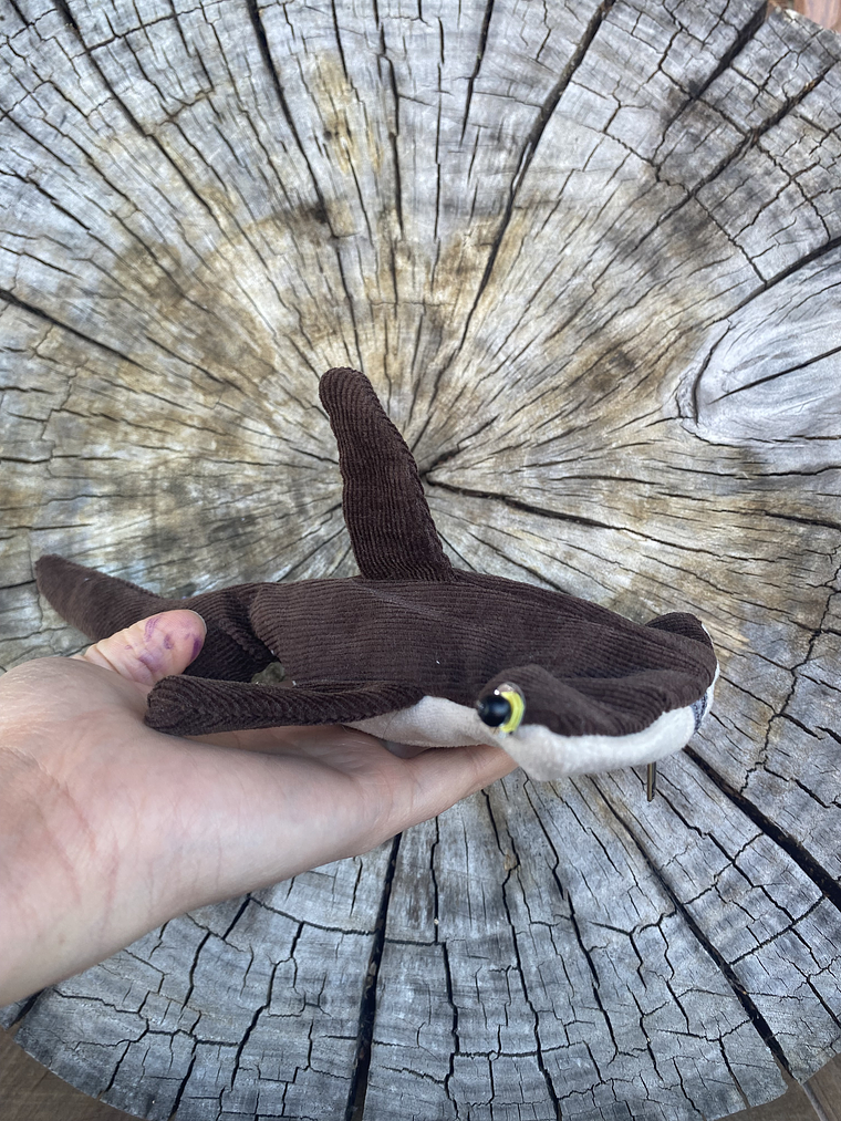 Monedero Tiburón martillo 1