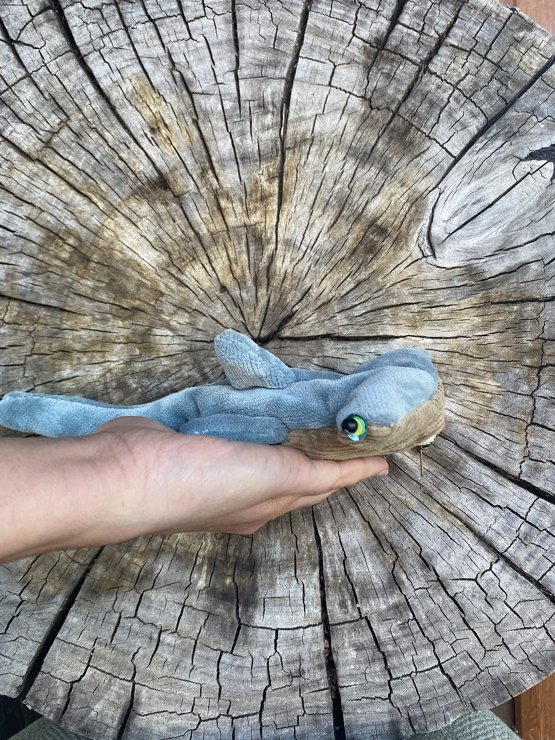 Monedero Tiburón martillo  1