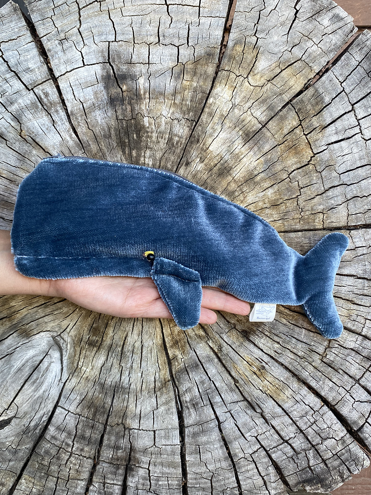 Estuche cachalote  1