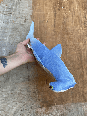 Estuche Tiburón martillo