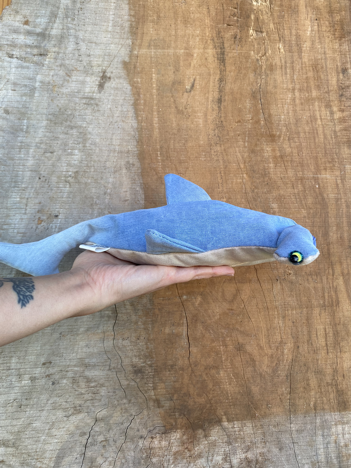 Estuche Tiburón martillo 2