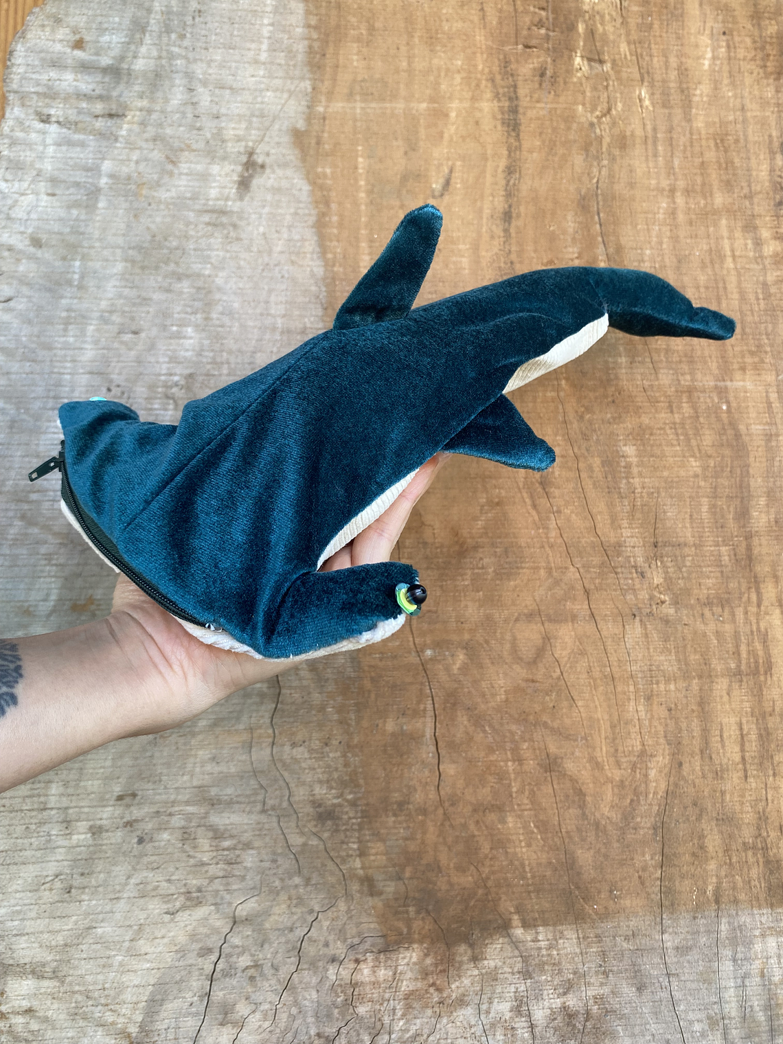 Estuche Tiburón martillo 2