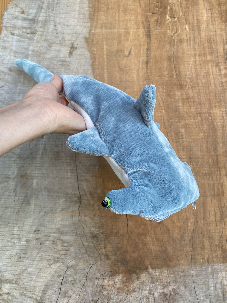 Estuche Tiburón martillo 2