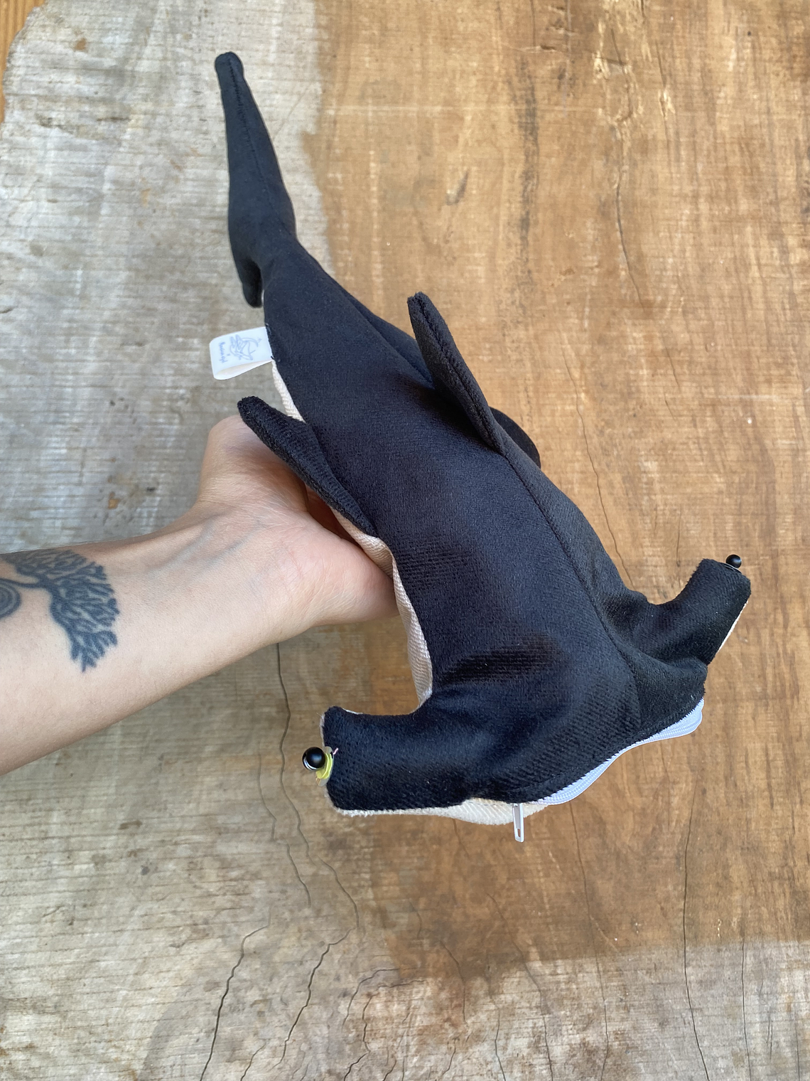 Estuche Tiburón martillo 1