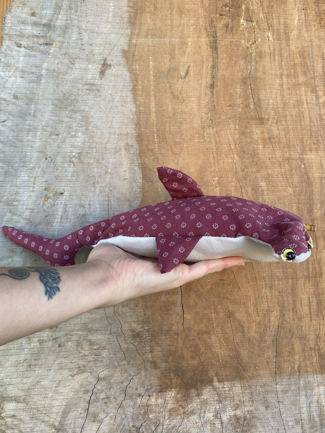 Estuche Tiburón martillo 1