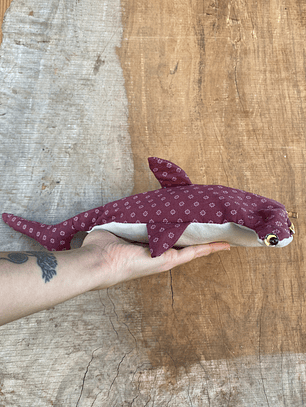 Estuche Tiburón martillo