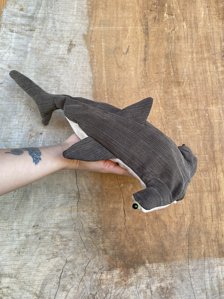 Estuche Tiburón martillo 1