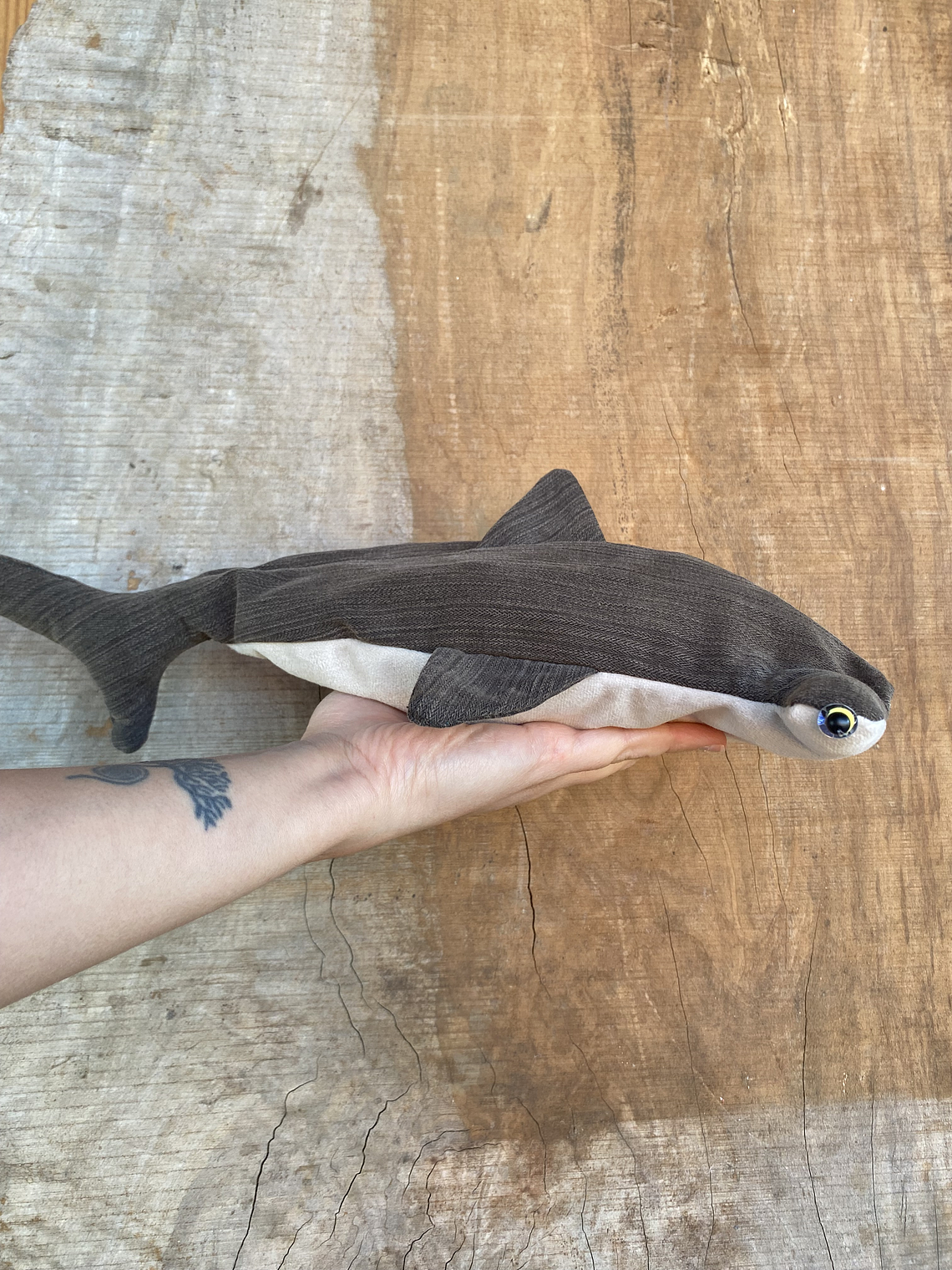 Estuche Tiburón martillo 2