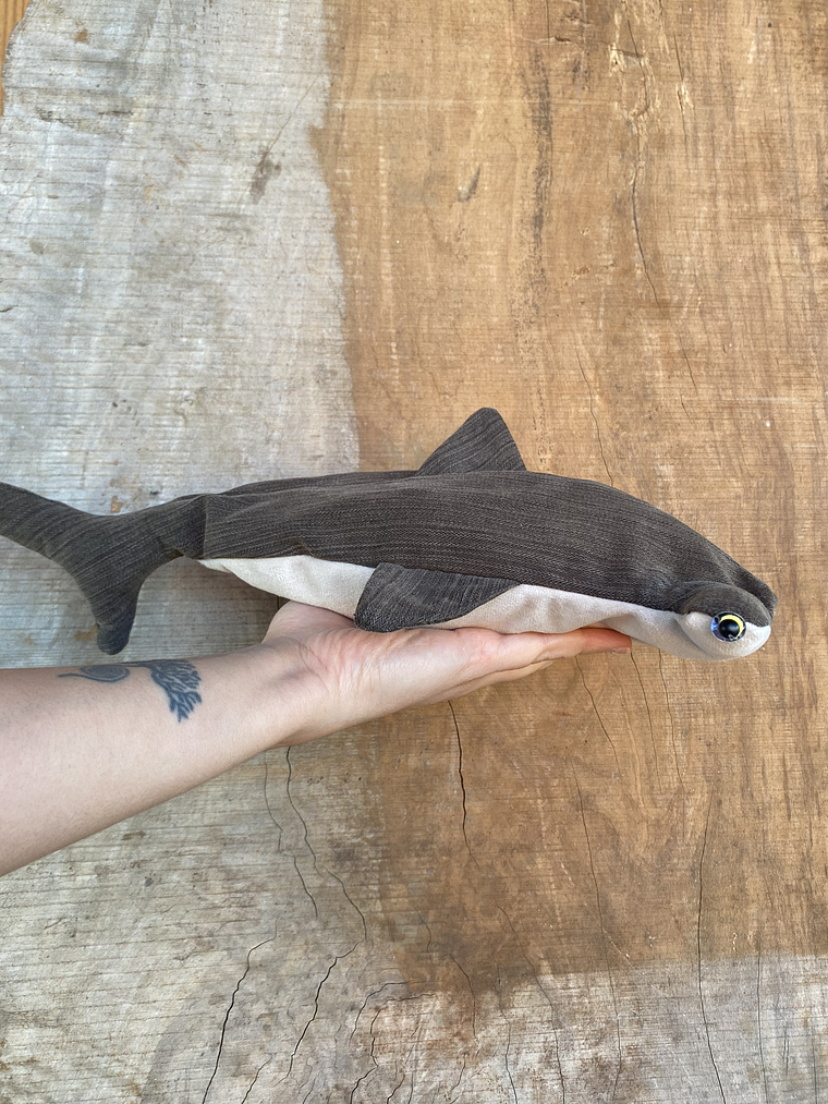 Estuche Tiburón martillo 2