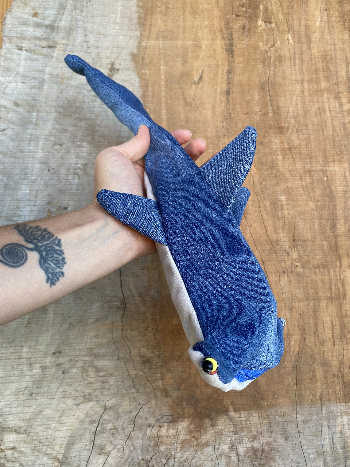 Estuche Tiburón martillo 2