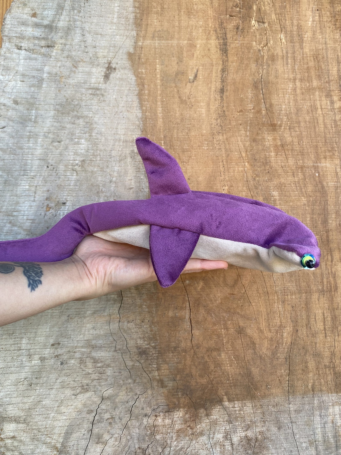 Estuche Tiburón martillo 2