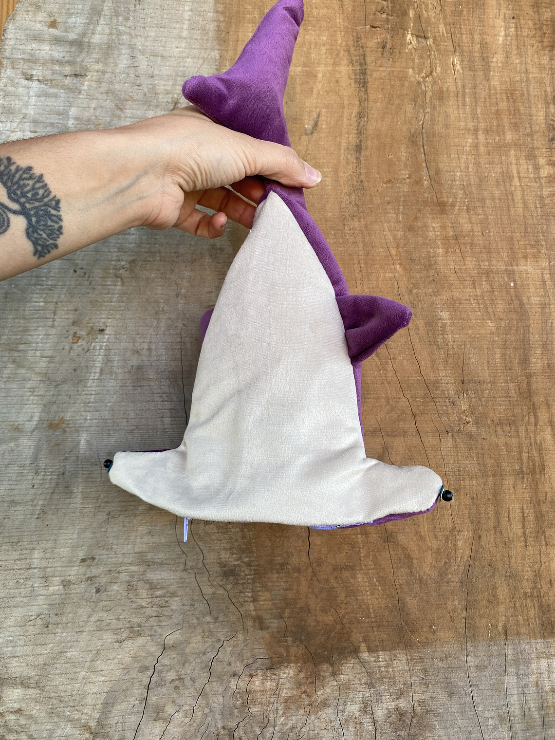 Estuche Tiburón martillo 3