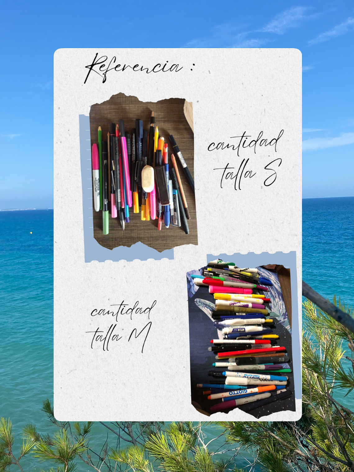 Estuche Tiburón martillo 3