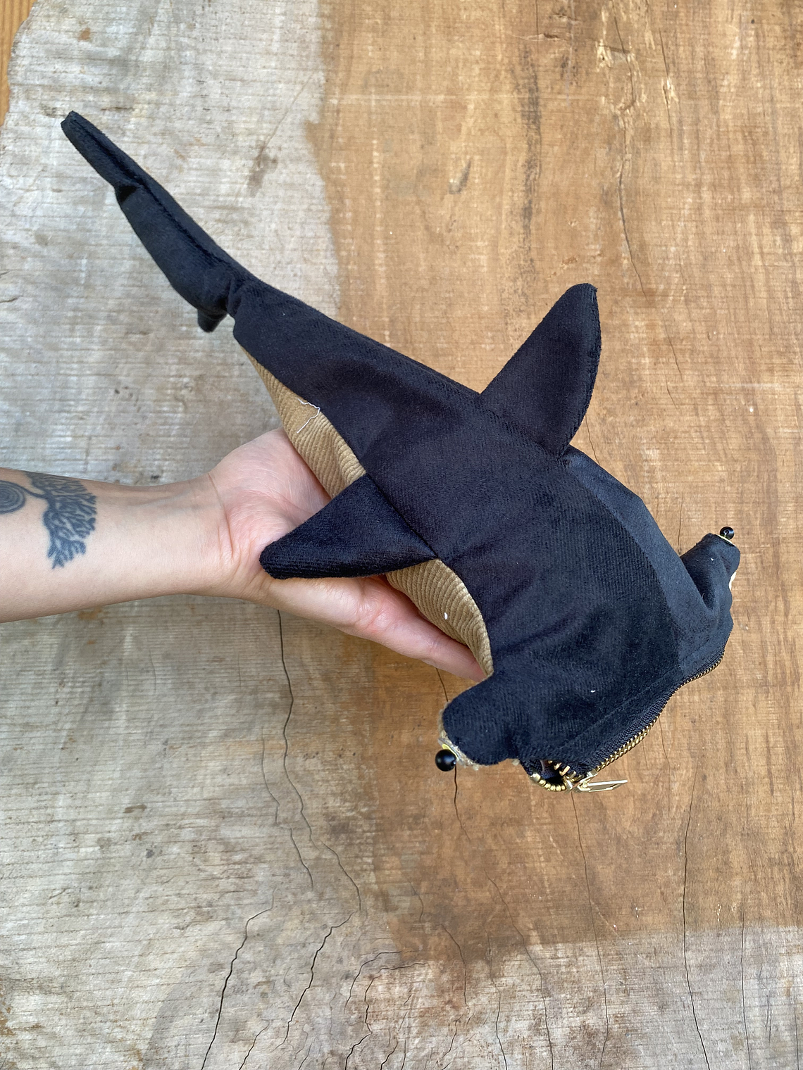 Estuche Tiburón martillo 1