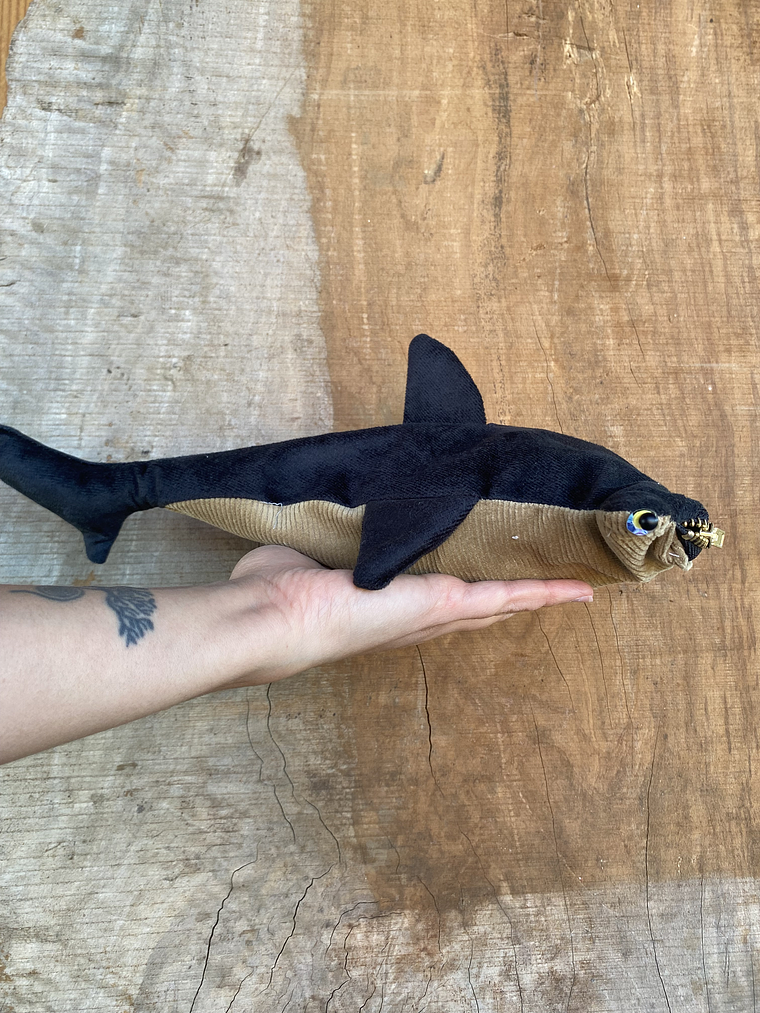 Estuche Tiburón martillo 2