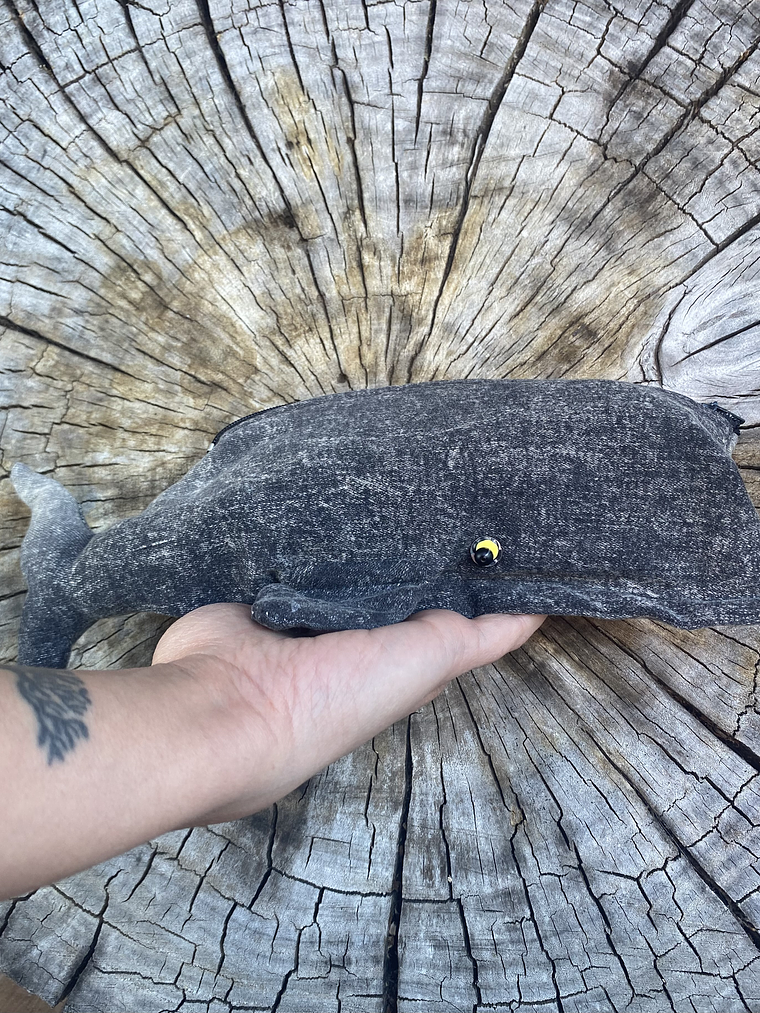 Estuche cachalote - 1