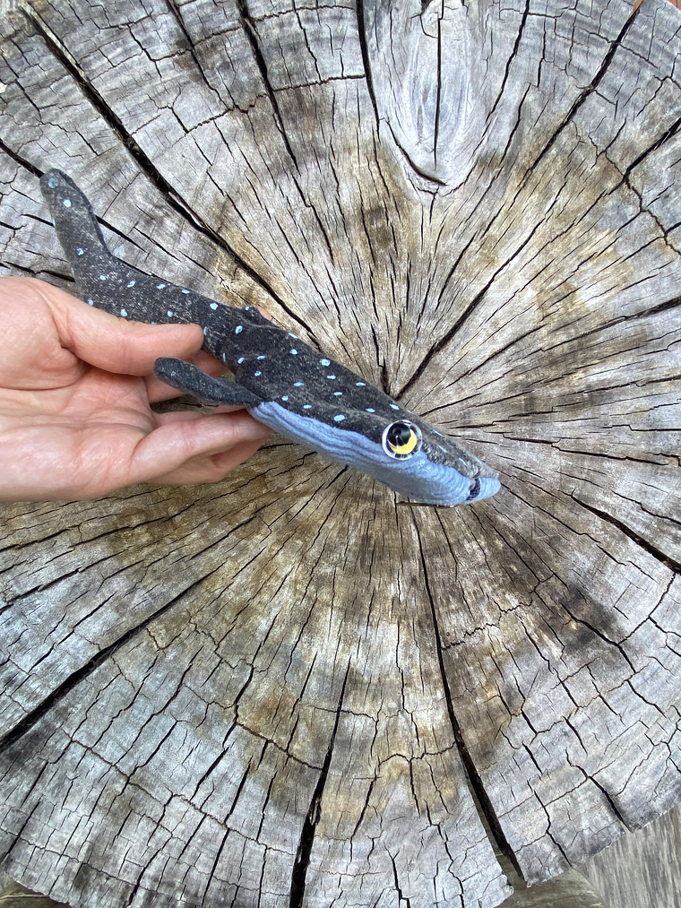 Monedero Tiburón ballena  2