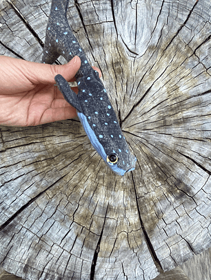 Monedero Tiburón ballena 