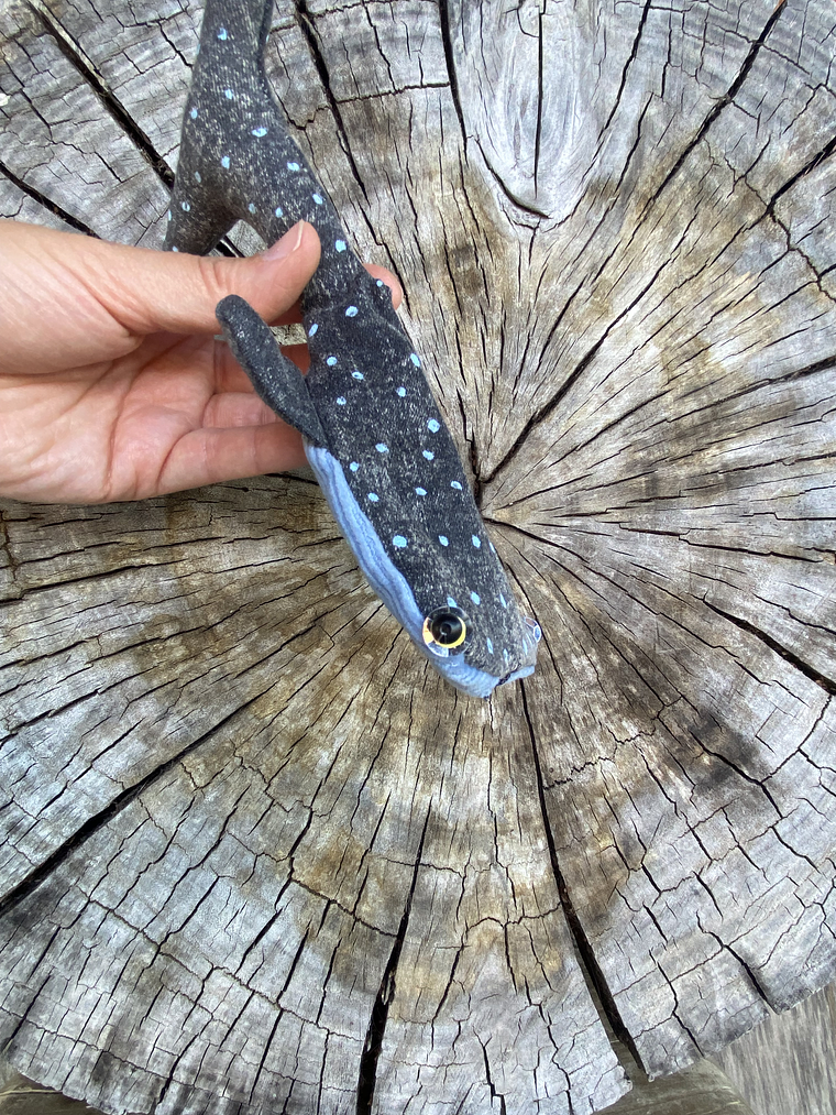 Monedero Tiburón ballena  1