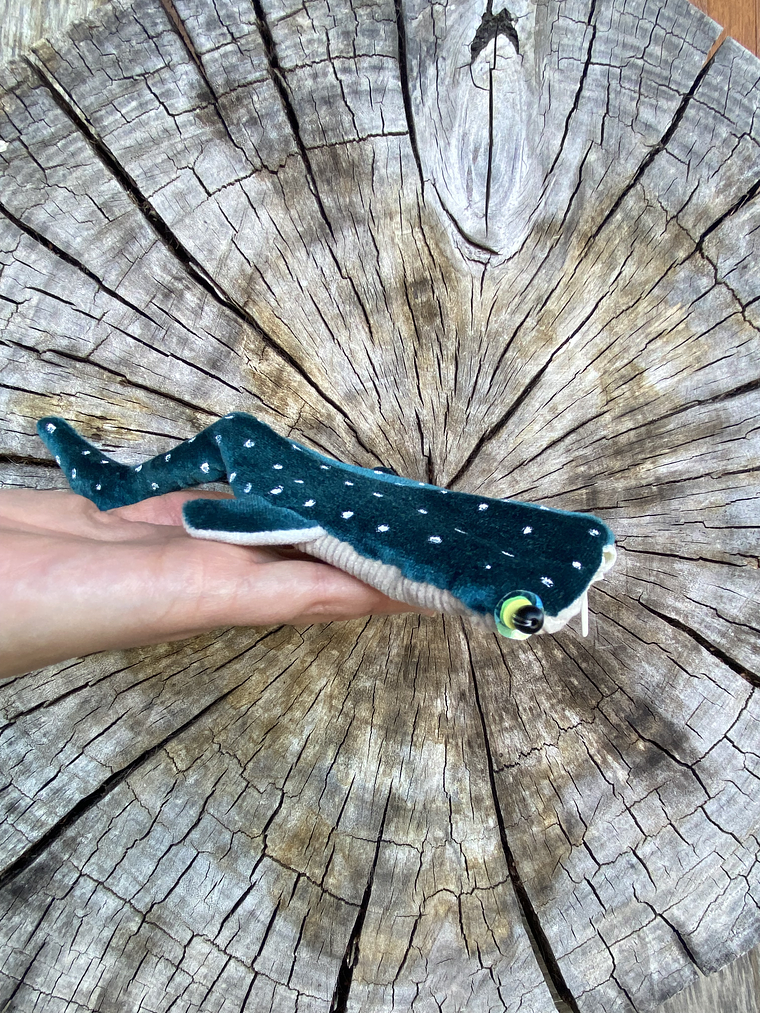 Monedero Tiburón ballena - verde petroleo 1