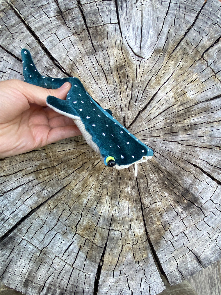 Monedero Tiburón ballena - verde petroleo 2