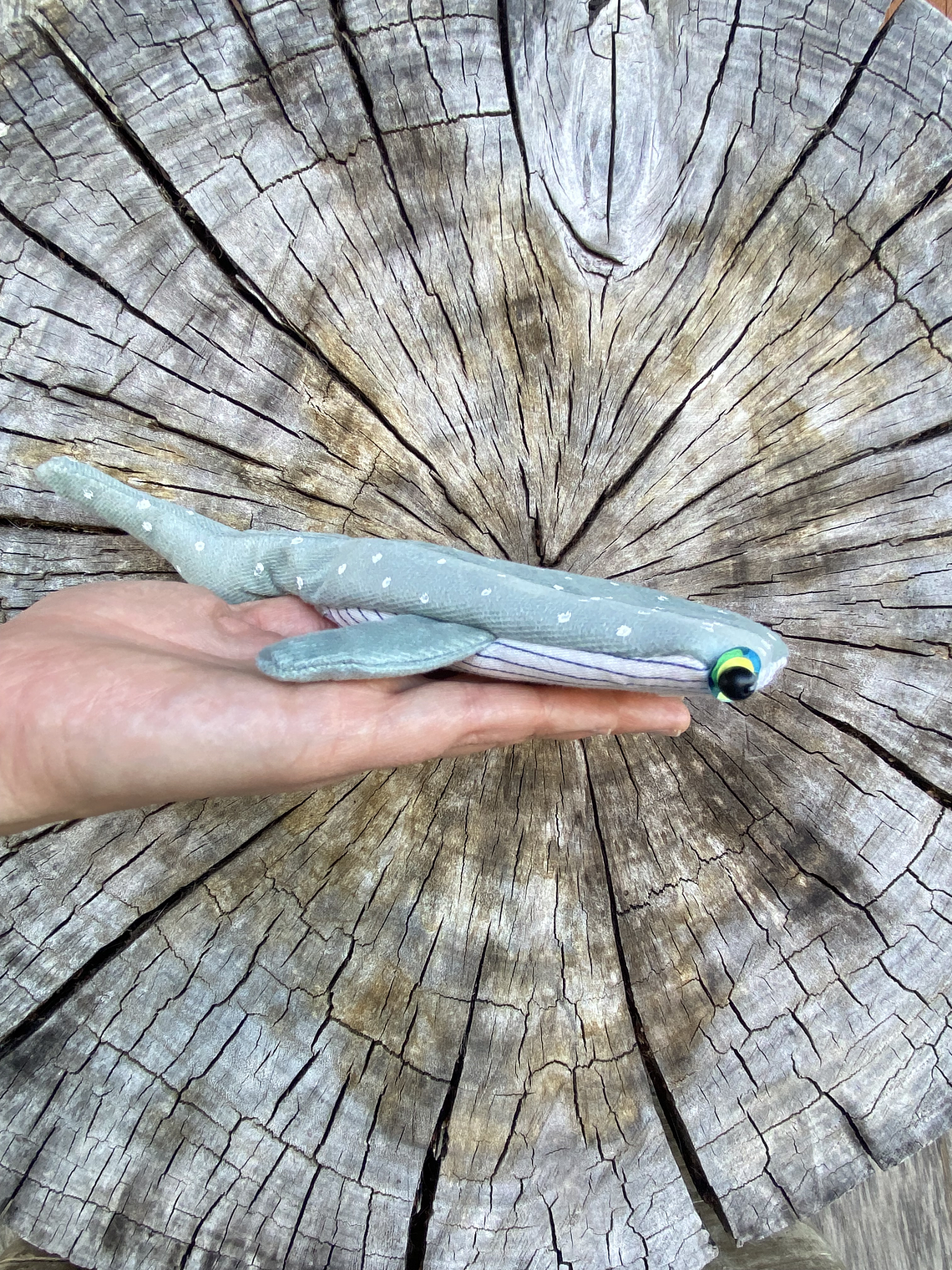 Monedero Tiburón ballena - Verde agua 2