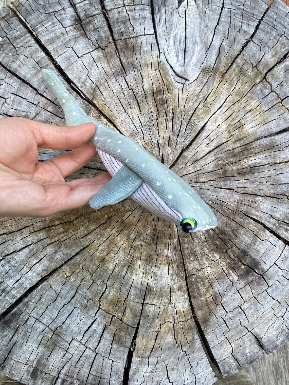 Monedero Tiburón ballena - Verde agua 1