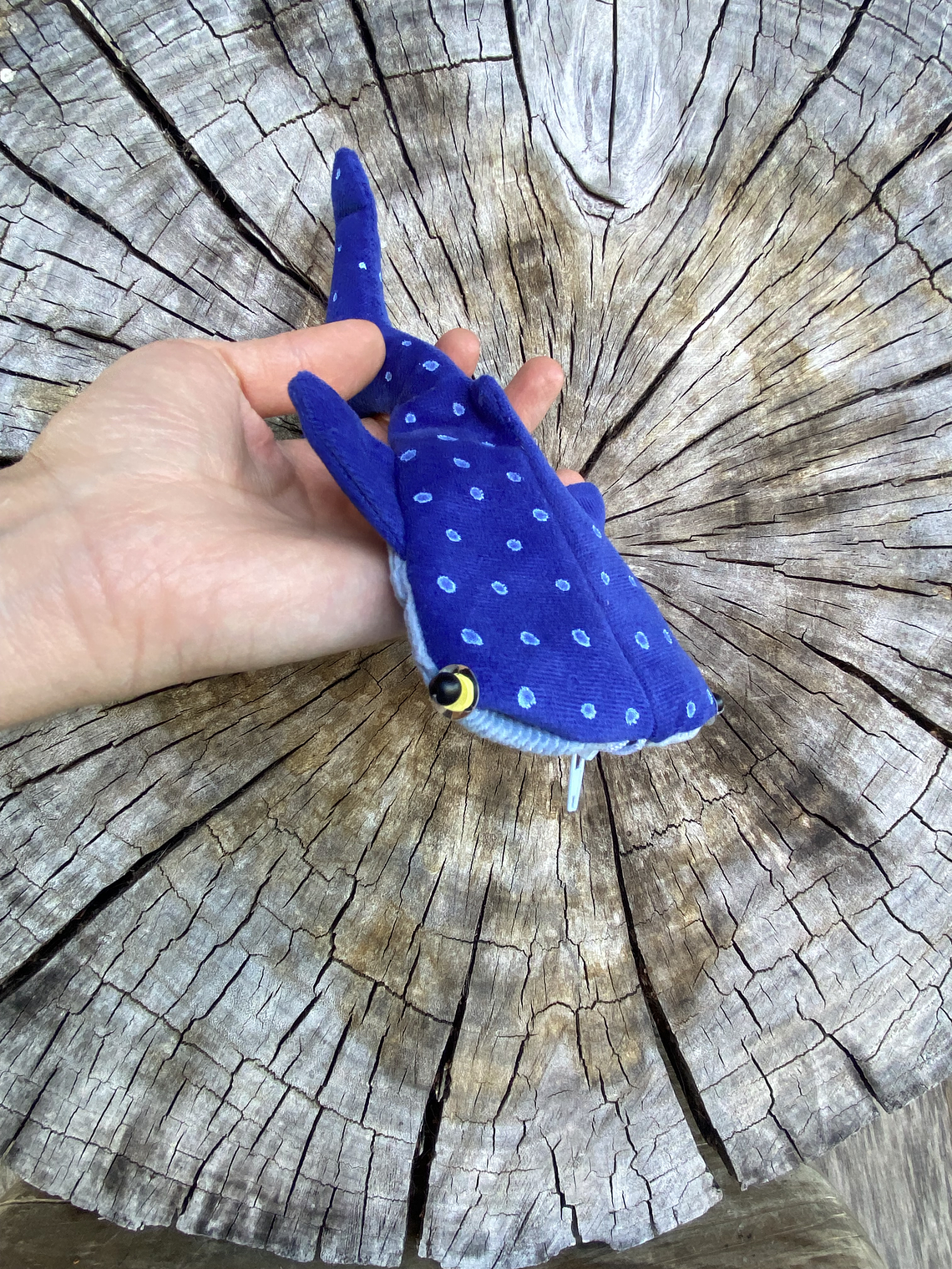 Monedero Tiburón ballena - Azul brilla en oscuridad  2