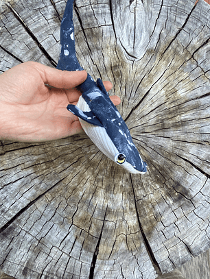 Monedero Tiburón ballena - Azul pinturita 