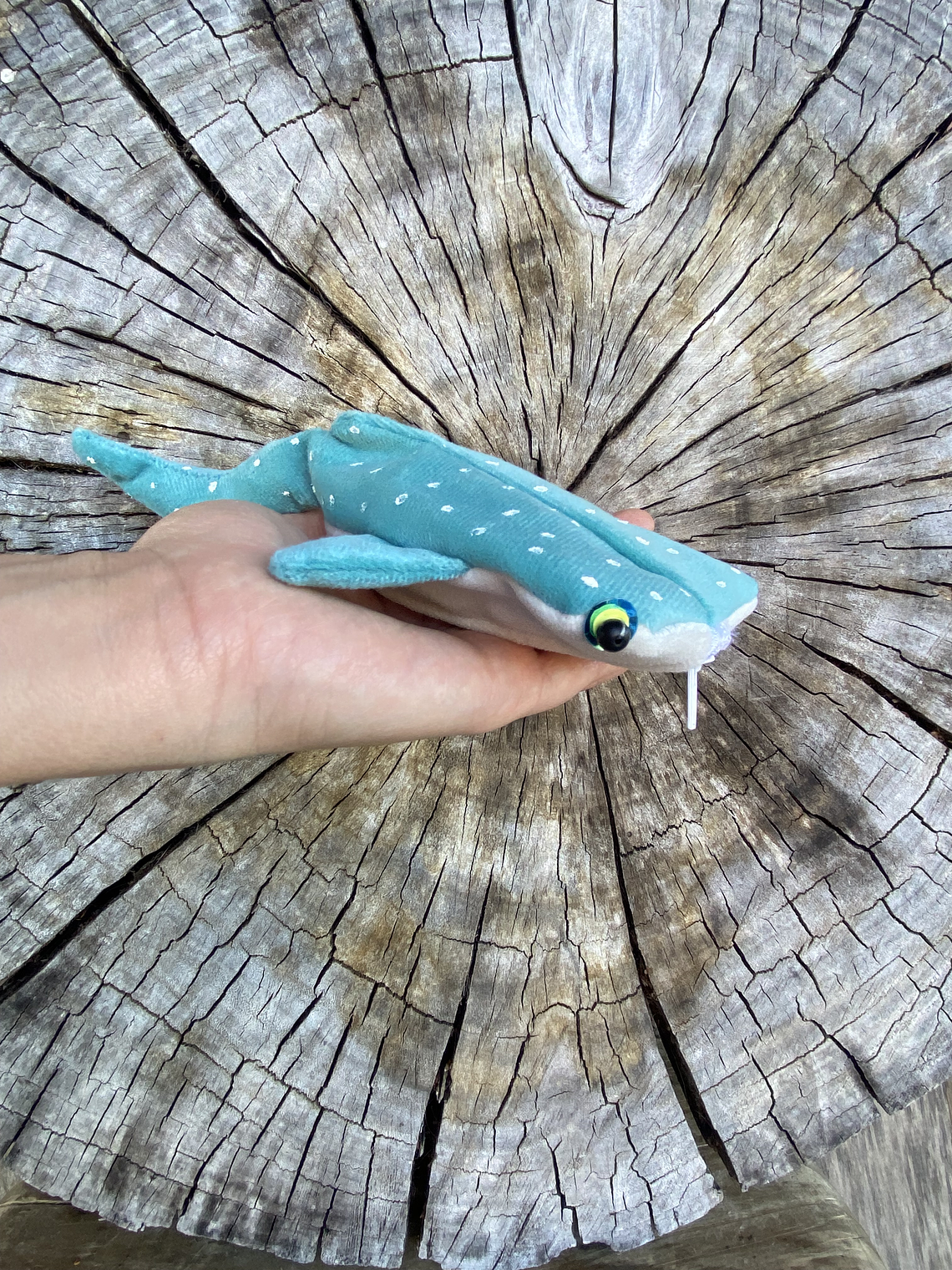 Monedero Tiburón ballena - Turquesa 1