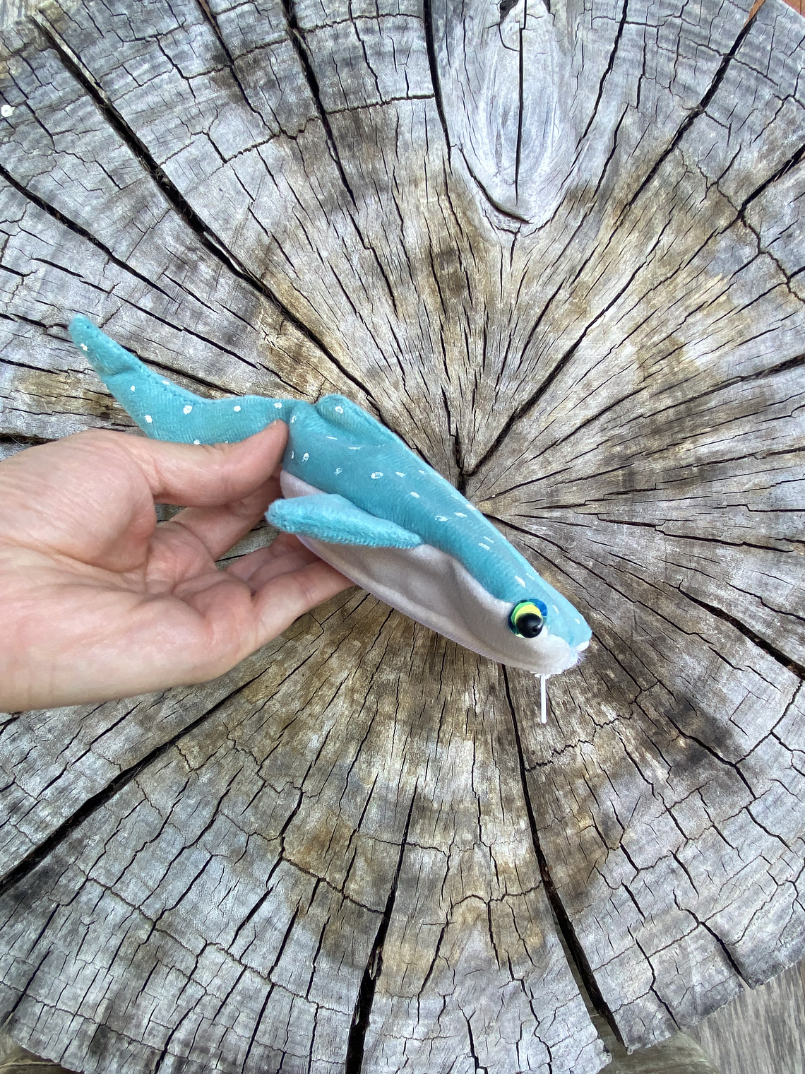 Monedero Tiburón ballena - Turquesa 2