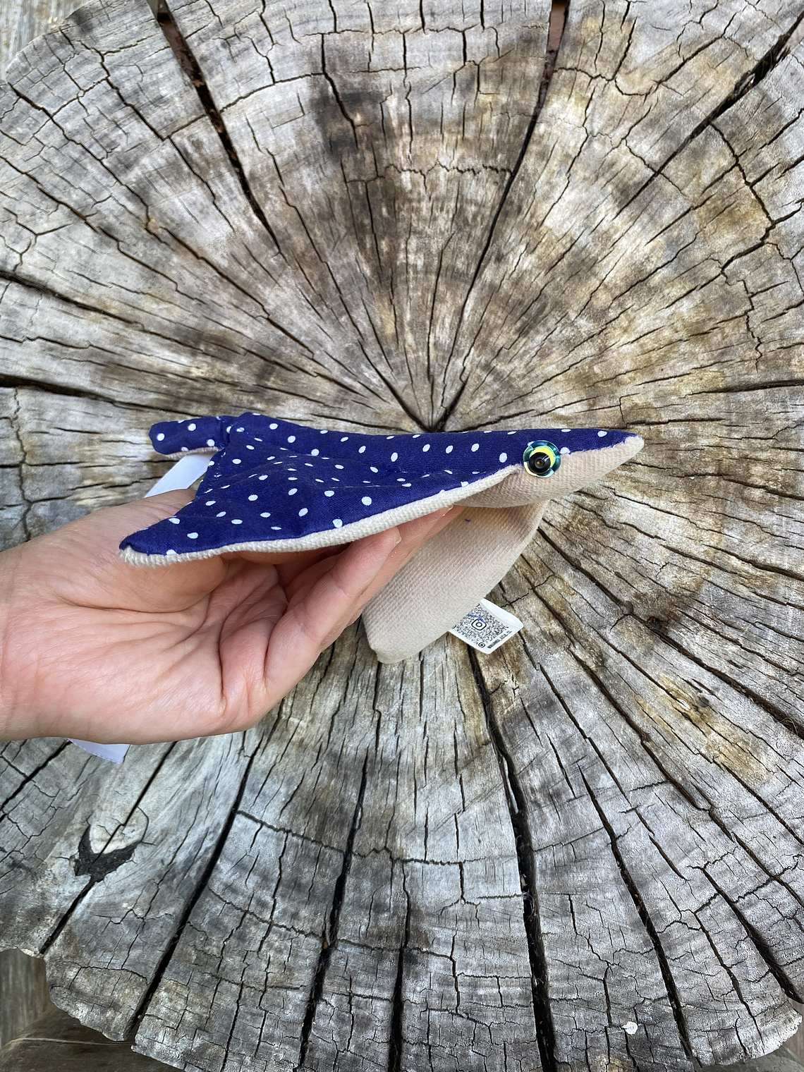 Raya moteada “s” - azul lunares 1