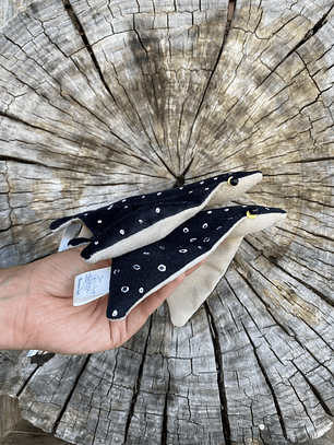 Raya moteada “s” - negra