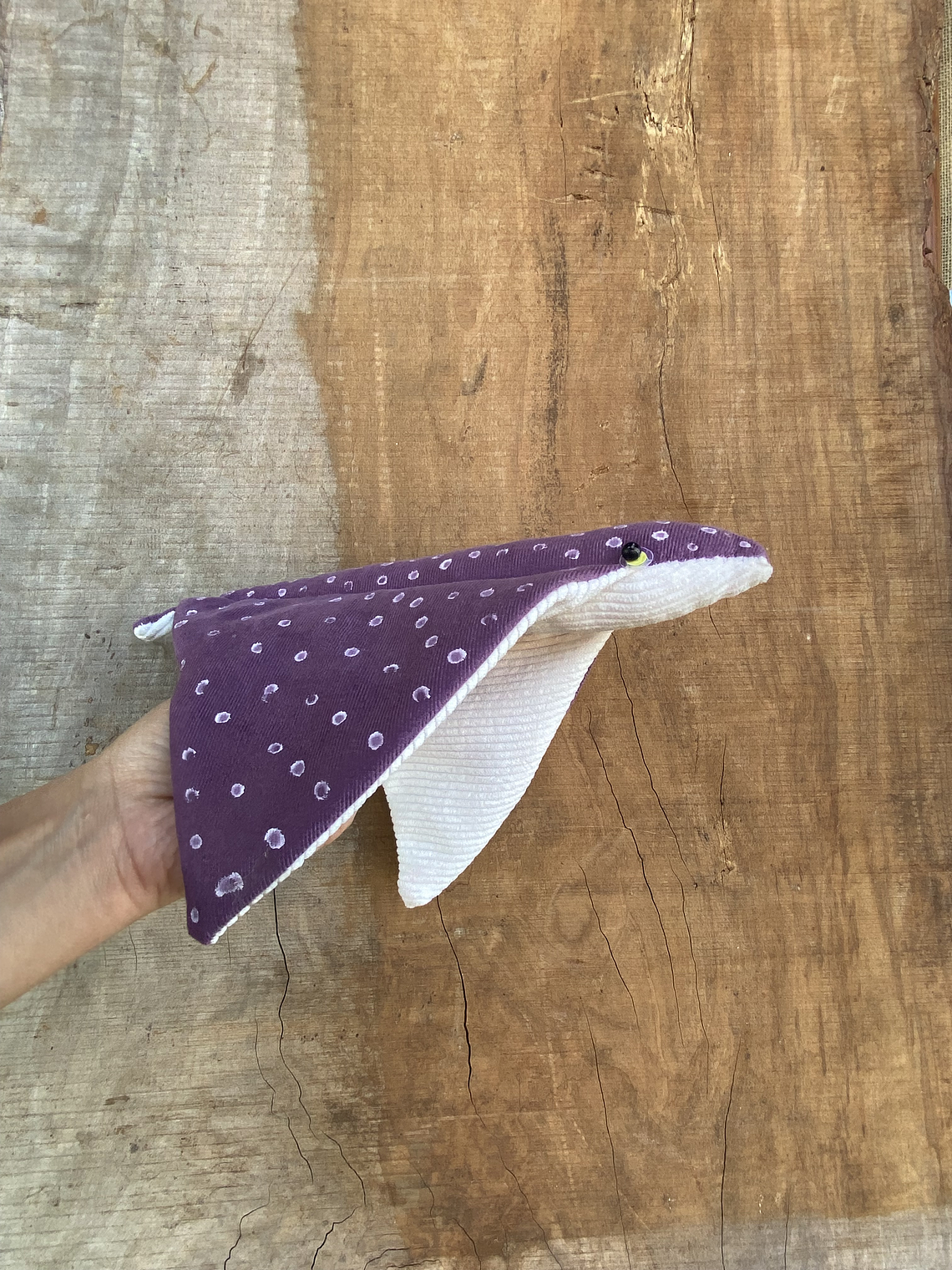 Raya moteada “m” - Morada brilla en la oscuridad  1