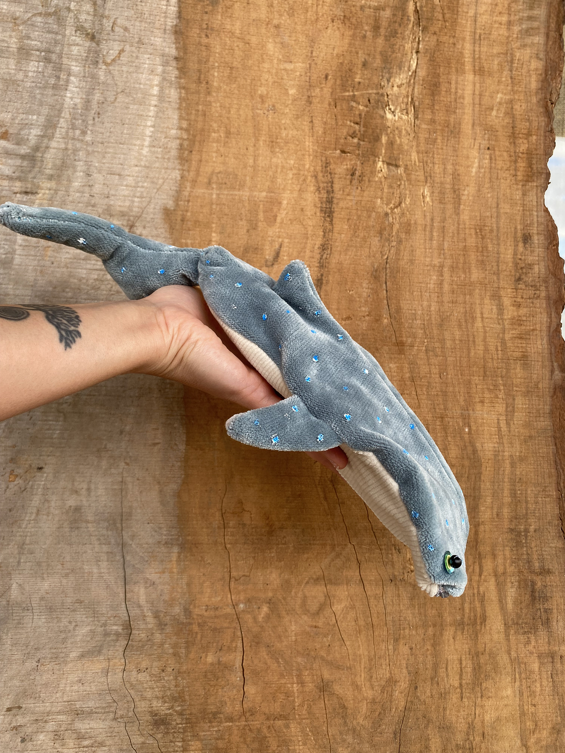 Estuche Tiburón ballena - Gris piedra  2