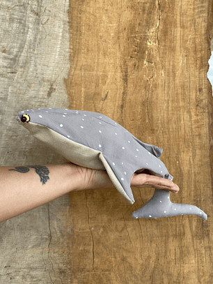 Estuche Tiburón ballena - Gris