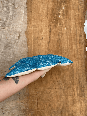 Guatero de semilla Raya moteada- calipso 