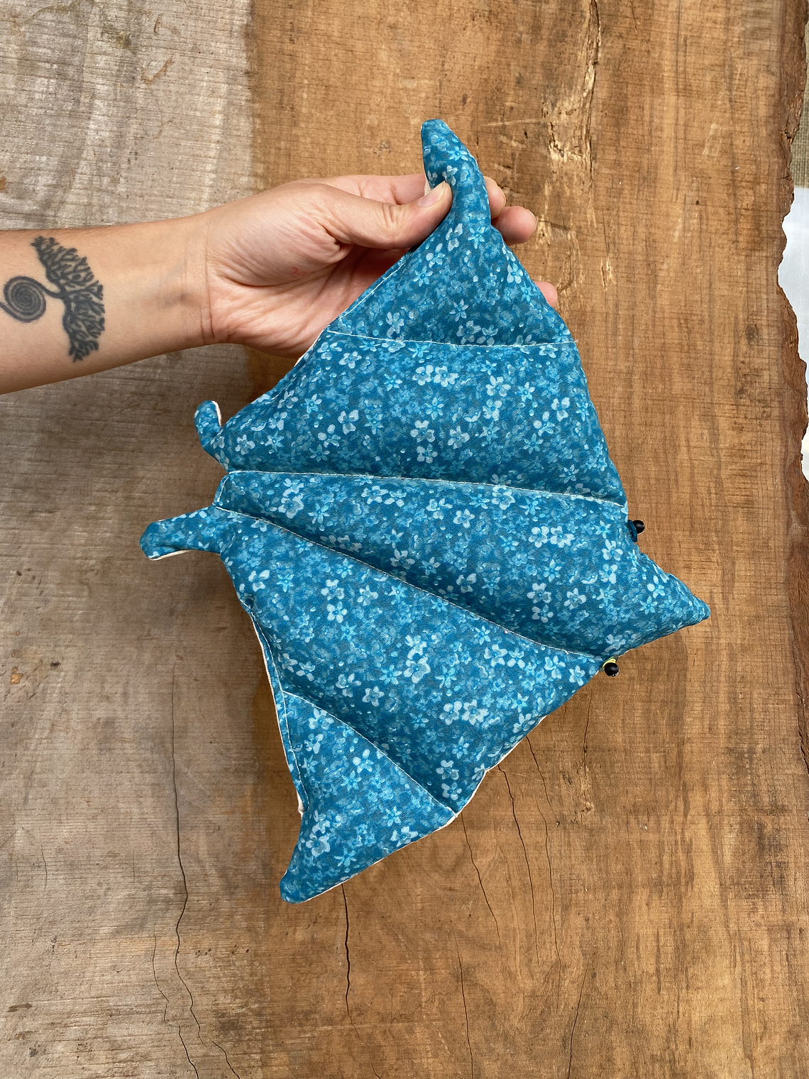 Guatero de semilla Raya moteada- calipso  2