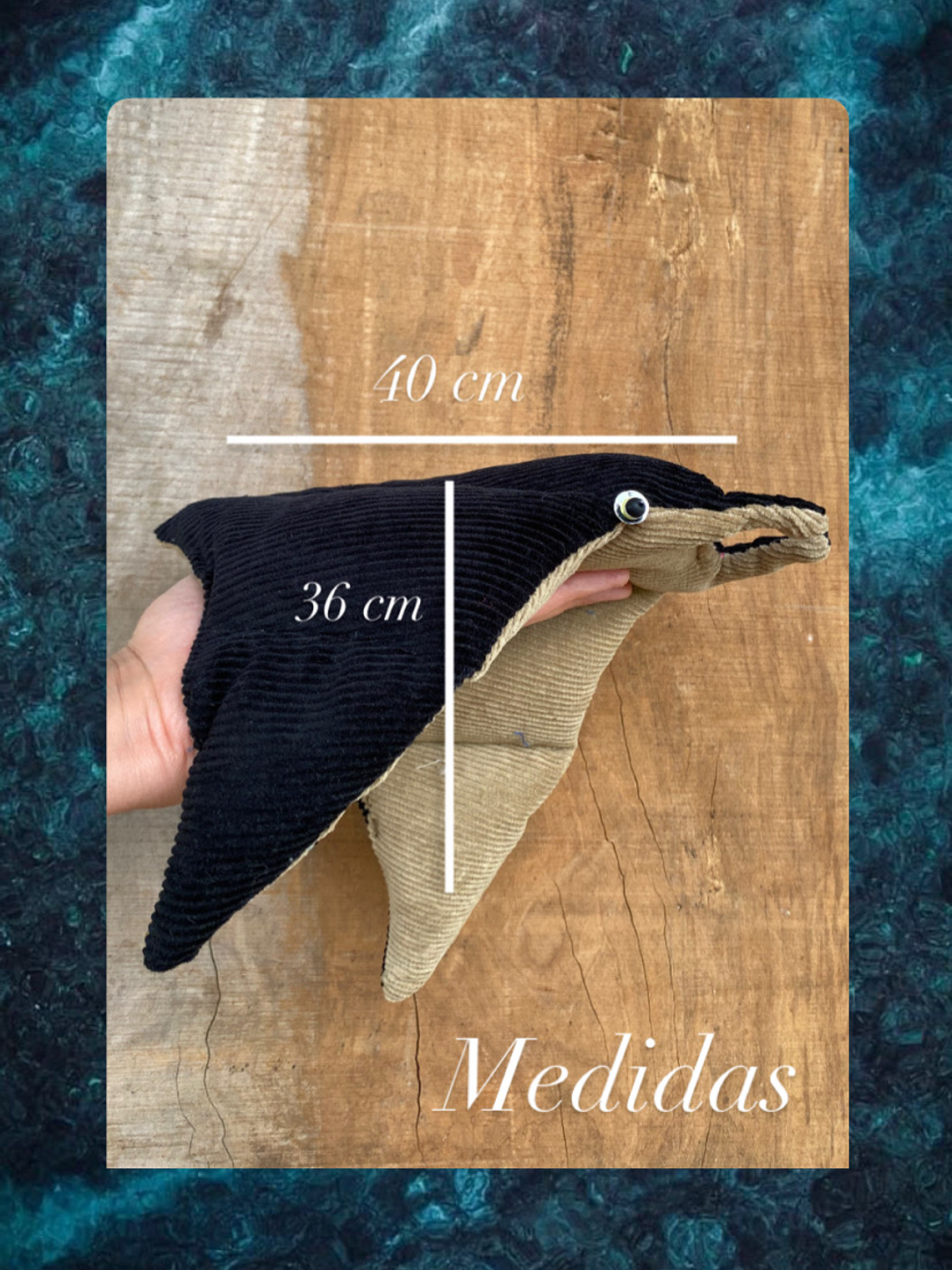 Guatero de semilla mantarraya gigante- calipso  3