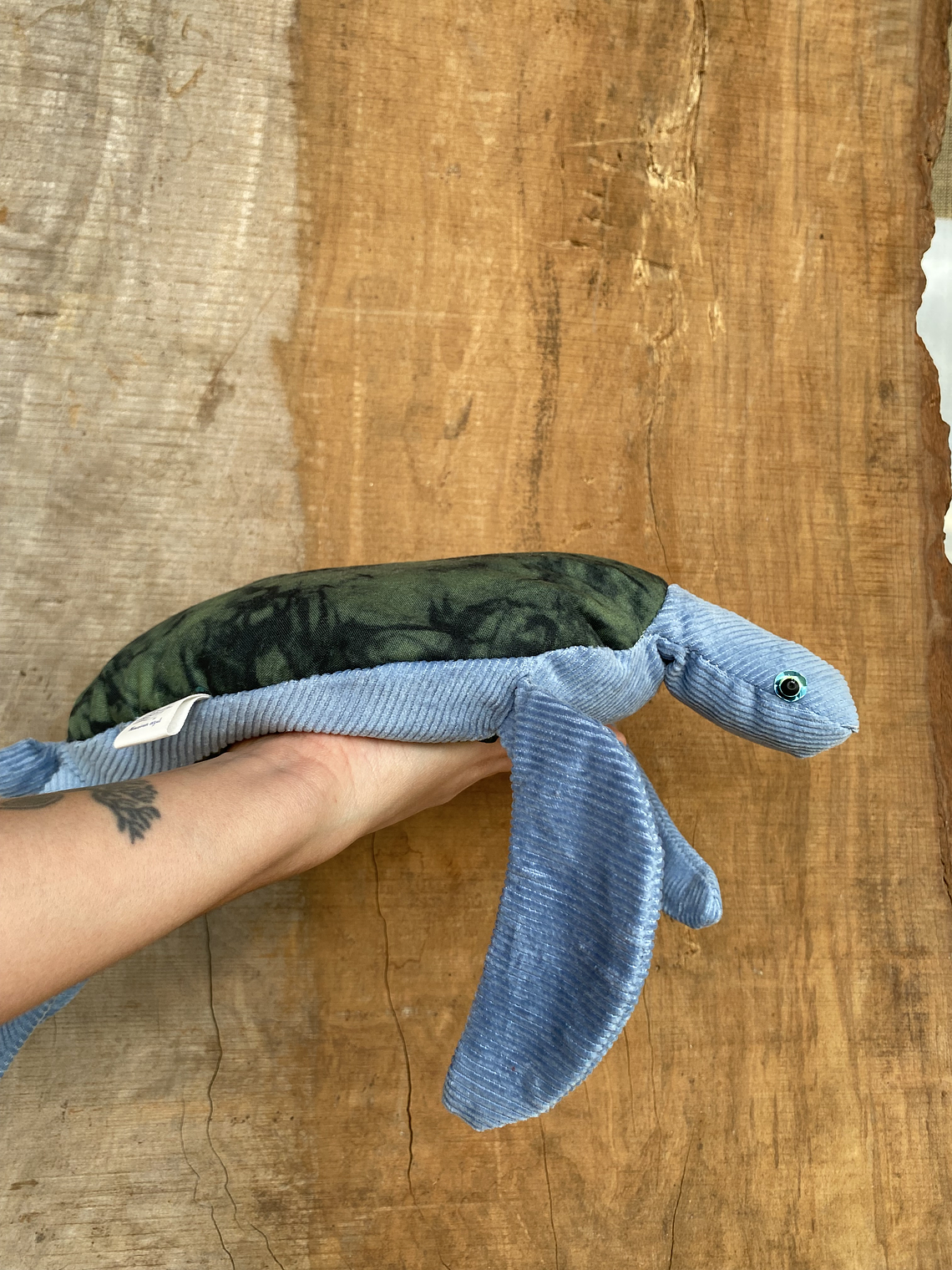 Guatero de semilla Tortuga - Celeste  1