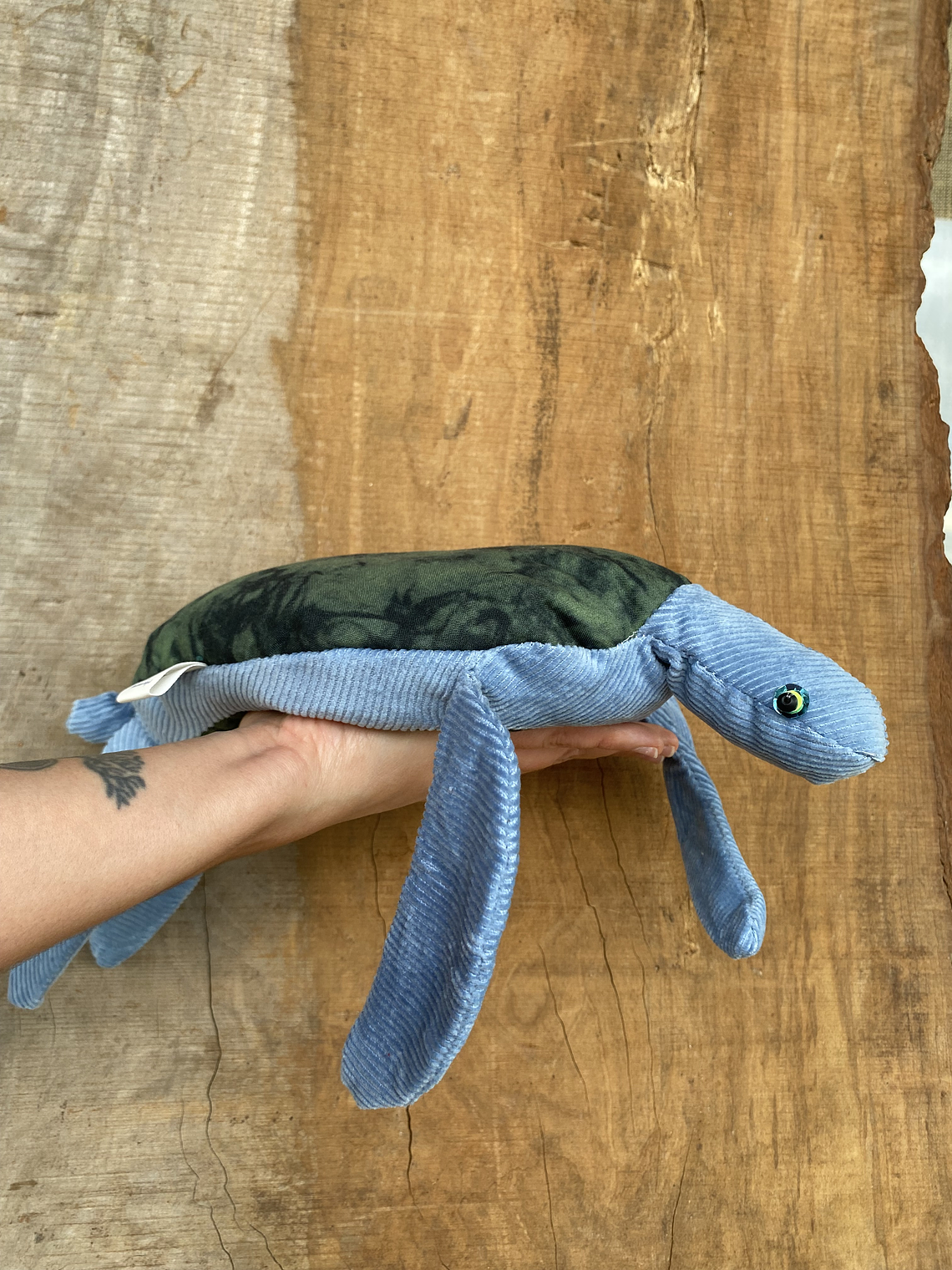 Guatero de semilla Tortuga - Celeste  2