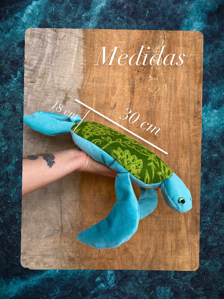 Guatero de semilla Tortuga - Celeste  3