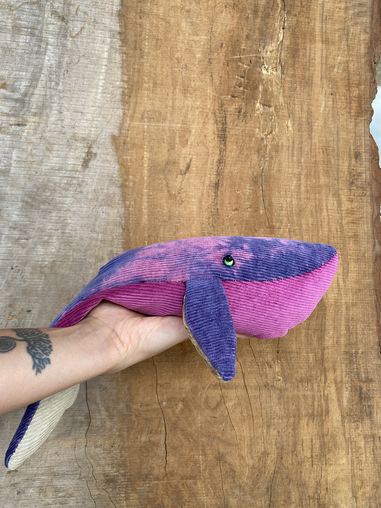 Guatero de semilla Ballena azul- rosa teñida  1