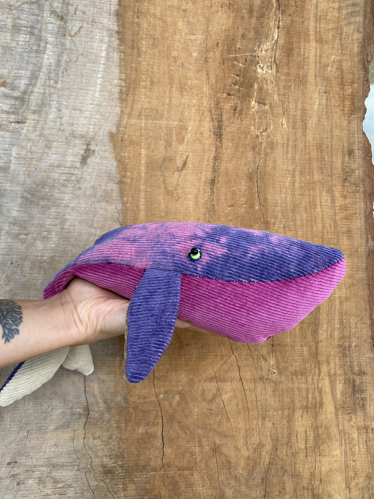 Guatero de semilla Ballena azul- rosa teñida  2