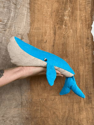 Guatero de semilla Ballena azul - calipso