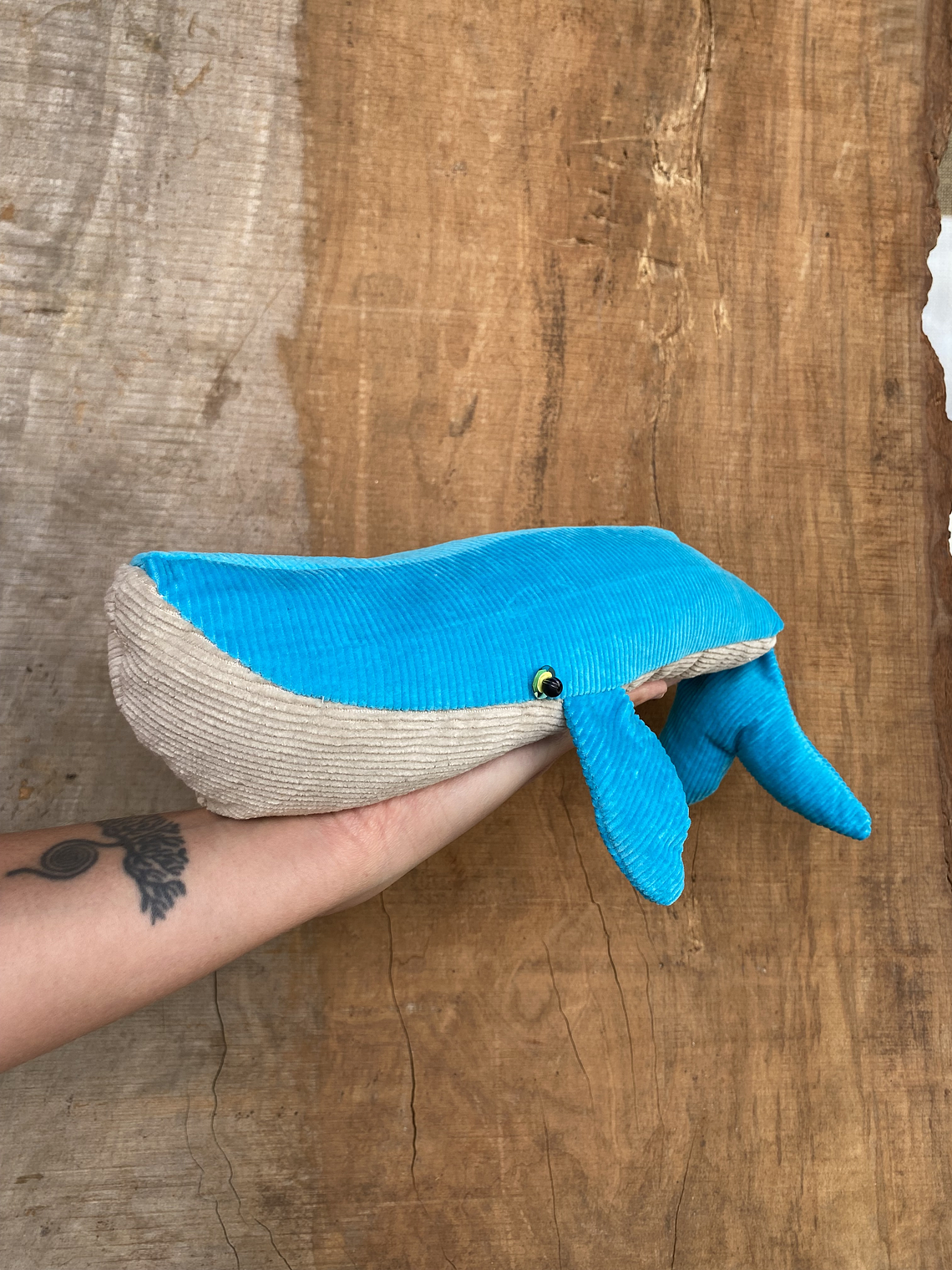 Guatero de semilla Ballena azul - calipso 2