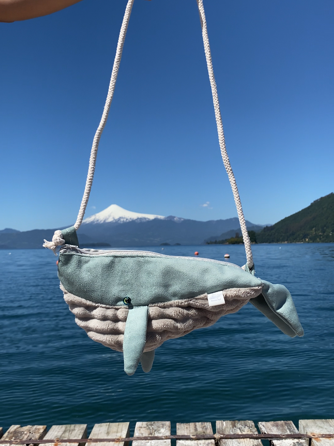 Cartera ballena - verde agua  1