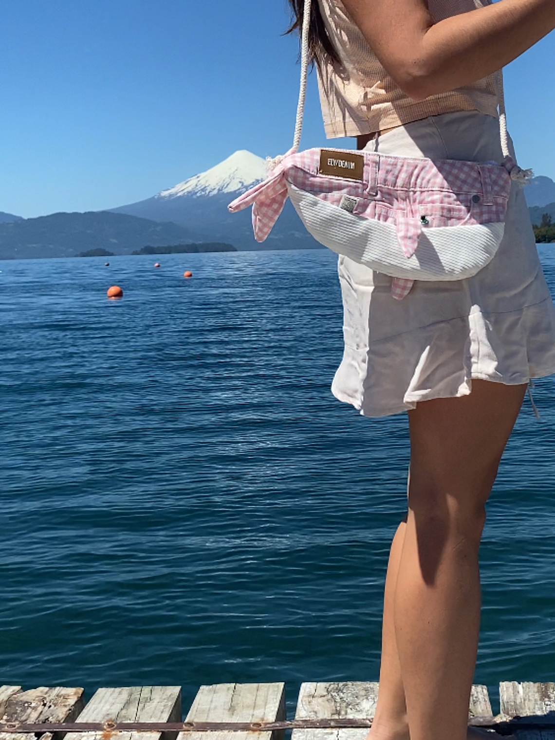 Cartera ballena - Rosa cuadrilles  3