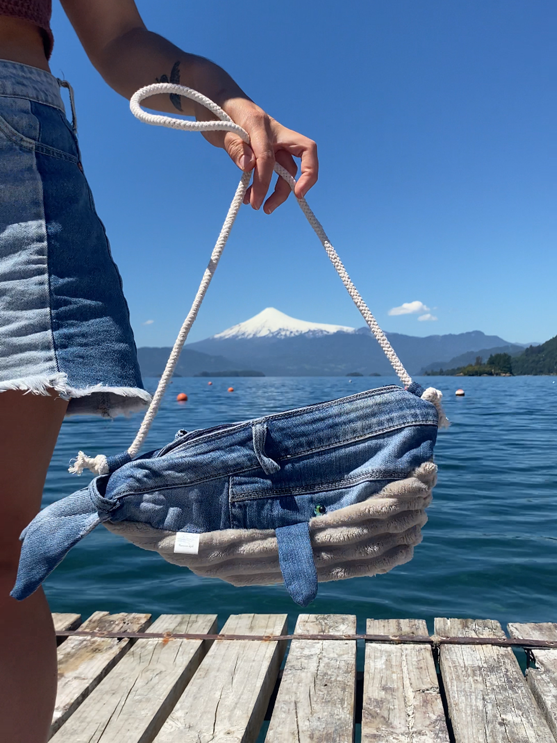 Cartera ballena - Jeans 1