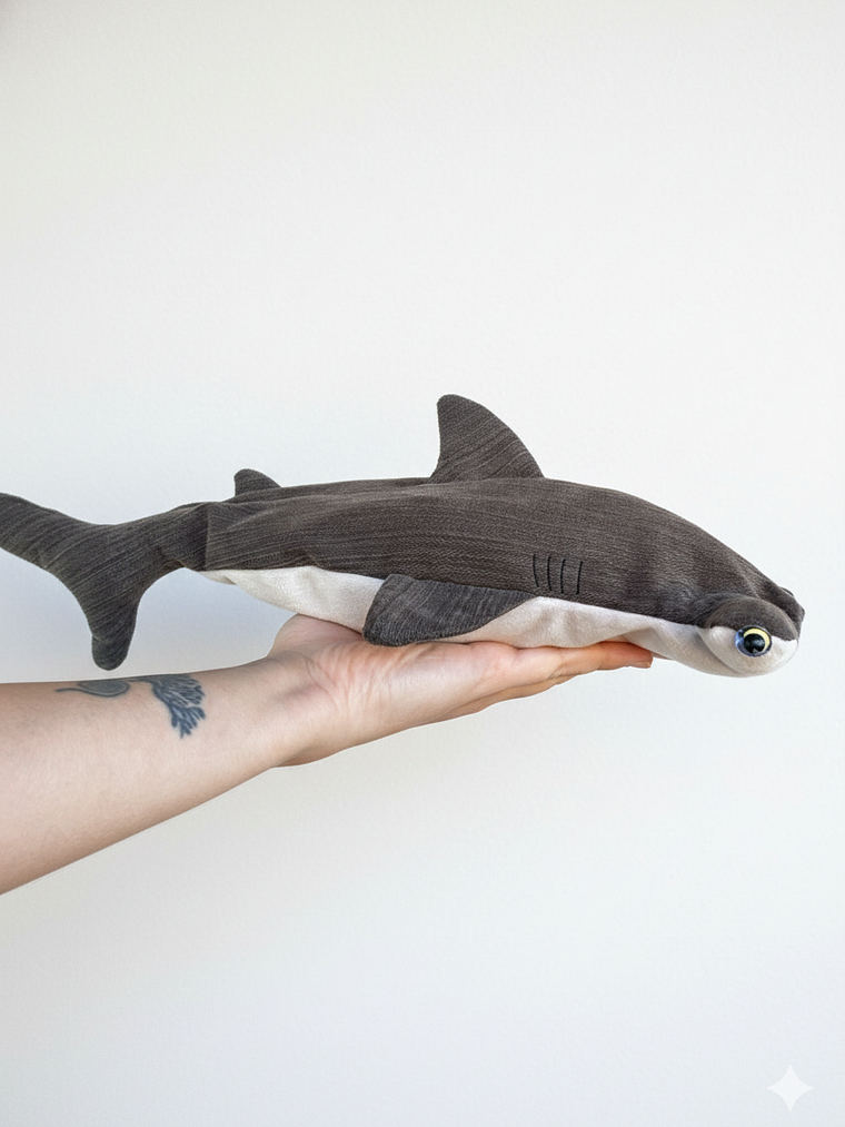 Estuche Tiburón martillo 1